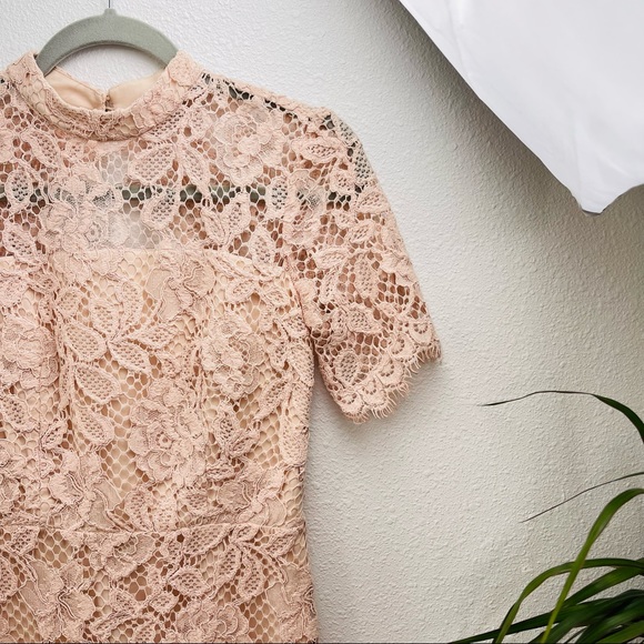 ALEXIS midi dress laced floral pink sheath bodycon nude formal wedding prom boho - Picture 8 of 14